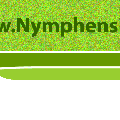 logo_neu.gif