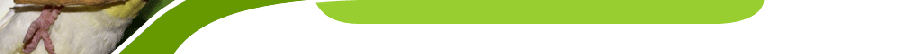 logoteil2.gif