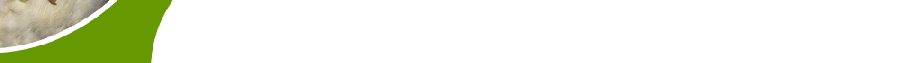 logoteill3.gif