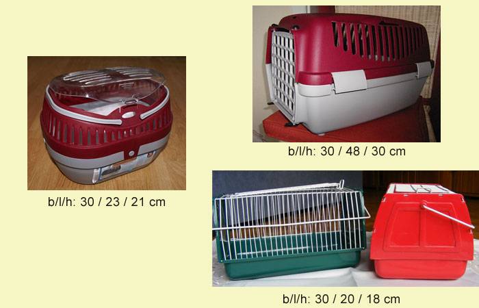 transportboxen_1.jpg