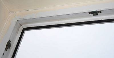 flori_fenster_1.jpg flori_fenster_1.jpg