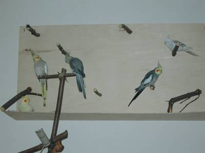 fraeuleing_kletterwand_1.jpg fraeuleing_kletterwand_1.jpg