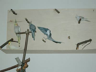 fraeuleing_kletterwand_2.jpg fraeuleing_kletterwand_2.jpg