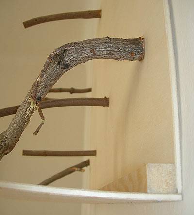 fraeuleing_kletterwand_4.jpg fraeuleing_kletterwand_4.jpg