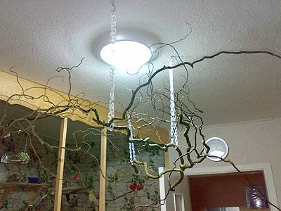 hotaru_haengeplatz_01.jpg hotaru_haengeplatz_01.jpg