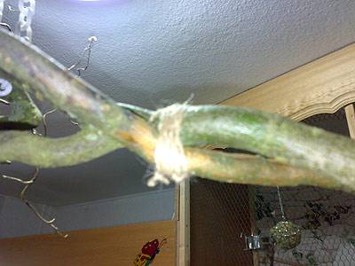 hotaru_haengeplatz_06.jpg hotaru_haengeplatz_06.jpg