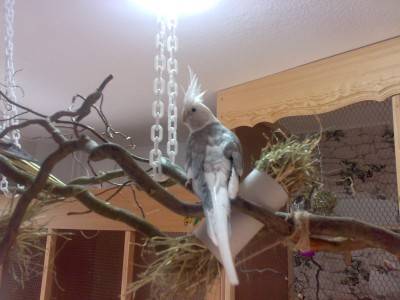 hotaru_haengeplatz_08.jpg hotaru_haengeplatz_08.jpg