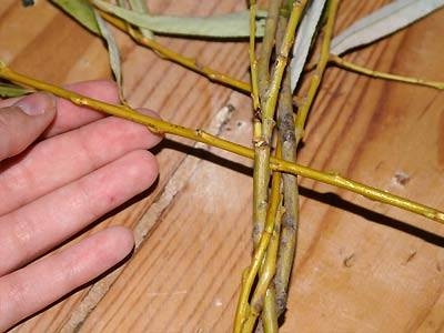 jana_weidenringe_2.jpg jana_weidenringe_2.jpg