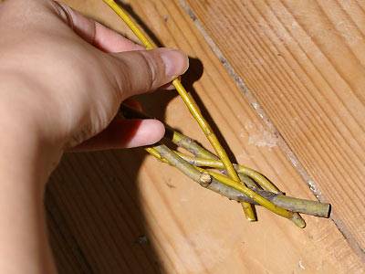 jana_weidenringe_3.jpg jana_weidenringe_3.jpg