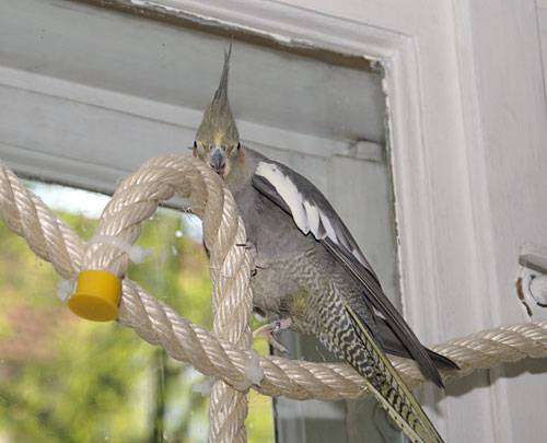 jantin_netz_7.jpg jantin_netz_7.jpg