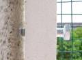 knusel_fenster_8.jpg