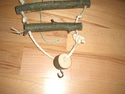 ladychaos_haengematte_4.jpg ladychaos_haengematte_4.jpg