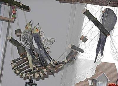 ladychaos_haengematte_5.jpg ladychaos_haengematte_5.jpg