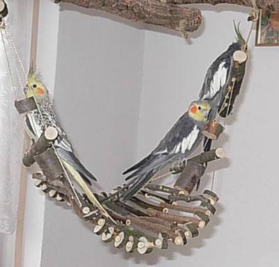 ladychaos_haengematte_7.jpg ladychaos_haengematte_7.jpg