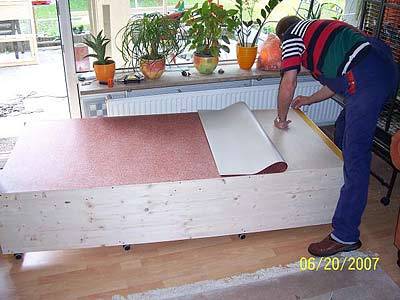 nymphicus_voli_2.jpg nymphicus_voli_2.jpg