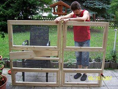 nymphicus_voli_5.jpg nymphicus_voli_5.jpg