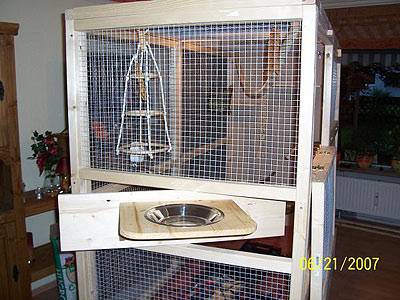 nymphicus_voli_8.jpg nymphicus_voli_8.jpg