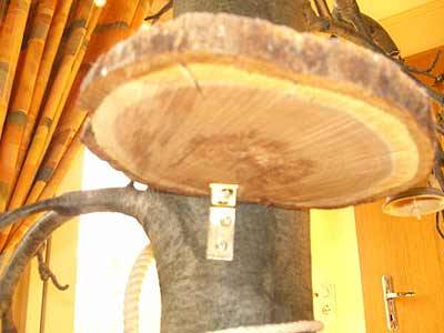 oernie_vogelbaum_4.jpg oernie_vogelbaum_4.jpg