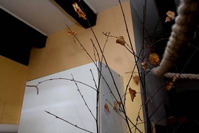 papagraf_knabber_2.jpg papagraf_knabber_2.jpg