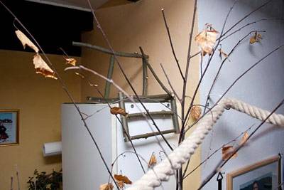 papagraf_knabber_8.jpg papagraf_knabber_8.jpg