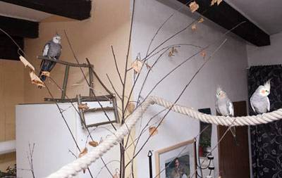 papagraf_knabber_9.jpg papagraf_knabber_9.jpg