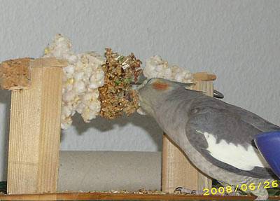 schwwvh_kekshalter_1.jpg schwwvh_kekshalter_1.jpg