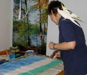 shanti_schutztapete_1.jpg shanti_schutztapete_1.jpg