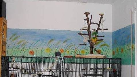 shanti_schutztapete_2.jpg shanti_schutztapete_2.jpg