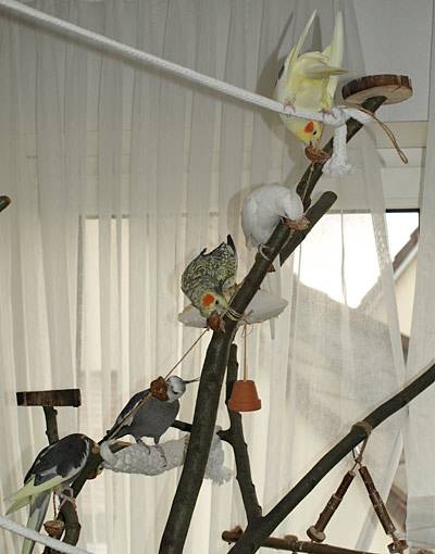 shanti_walnusskette_1.jpg shanti_walnusskette_1.jpg