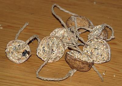 shanti_walnusskette_t.jpg shanti_walnusskette_t.jpg