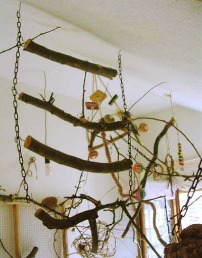 superlex_leiter_1.jpg superlex_leiter_1.jpg