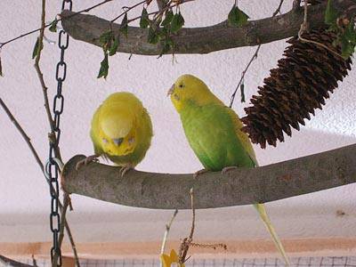 superlex_leiter_2.jpg superlex_leiter_2.jpg