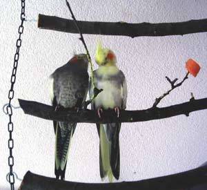 superlex_leiter_3.jpg superlex_leiter_3.jpg