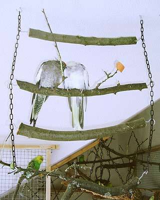 superlex_leiter_4.jpg superlex_leiter_4.jpg