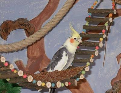 wir_hbruecke_5.jpg wir_hbruecke_5.jpg