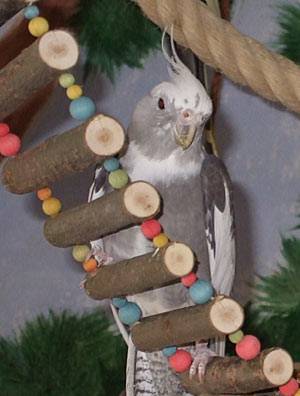 wir_hbruecke_6.jpg wir_hbruecke_6.jpg