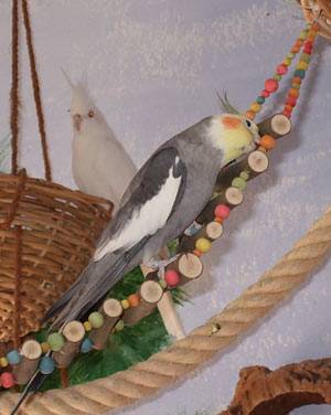 wir_hbruecke_7.jpg wir_hbruecke_7.jpg