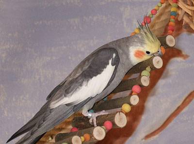 wir_hbruecke_8.jpg wir_hbruecke_8.jpg