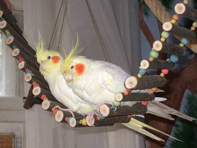 wir_hbruecke_9.jpg wir_hbruecke_9.jpg