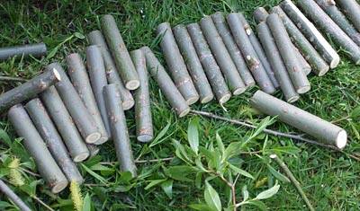 wir_radwerk_2.jpg wir_radwerk_2.jpg