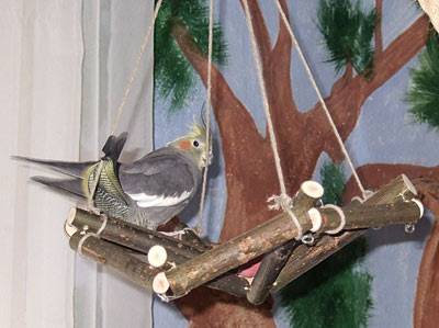 wir_radwerk_8.jpg wir_radwerk_8.jpg