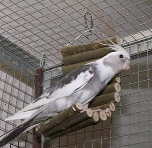 wir_schlafschaukel_t.jpg wir_schlafschaukel_t.jpg