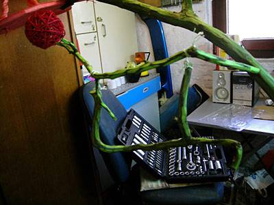 zuendy_bluemchen_5.jpg zuendy_bluemchen_5.jpg