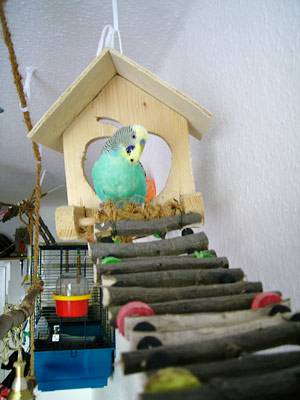 zuendy_hbruecke_3.jpg zuendy_hbruecke_3.jpg