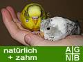 agnb_birdsonline.jpg