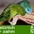 agnb_kathi.jpg
