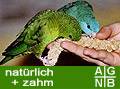 agnb_kathi.jpg