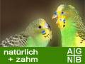 agnb_naturbrut.jpg