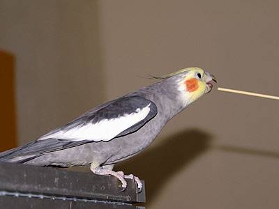 click2.jpg