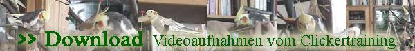 clickernbanner1.jpg